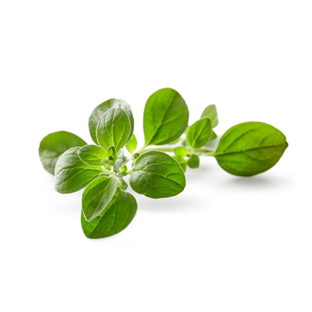 CAR. OREGANO 11G MOLINILLO
