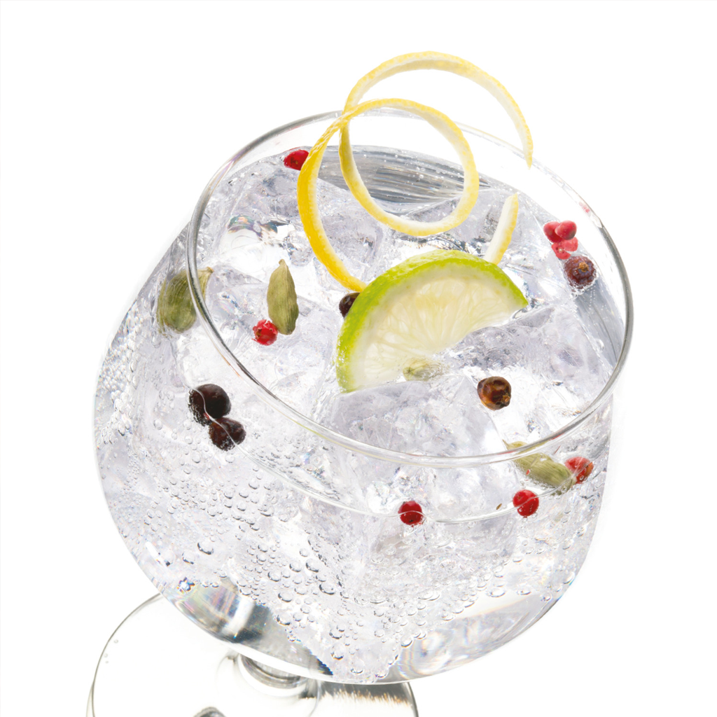 CAR. BOTANICOS GINTONIC 16G BLISTER